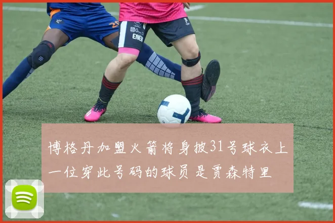 博格丹加盟火箭将身披31号球衣上一位穿此号码的球员是贾森特里