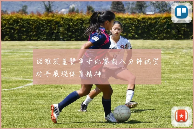 诺维茨基赞华子比赛前八分钟祝贺对手展现体育精神